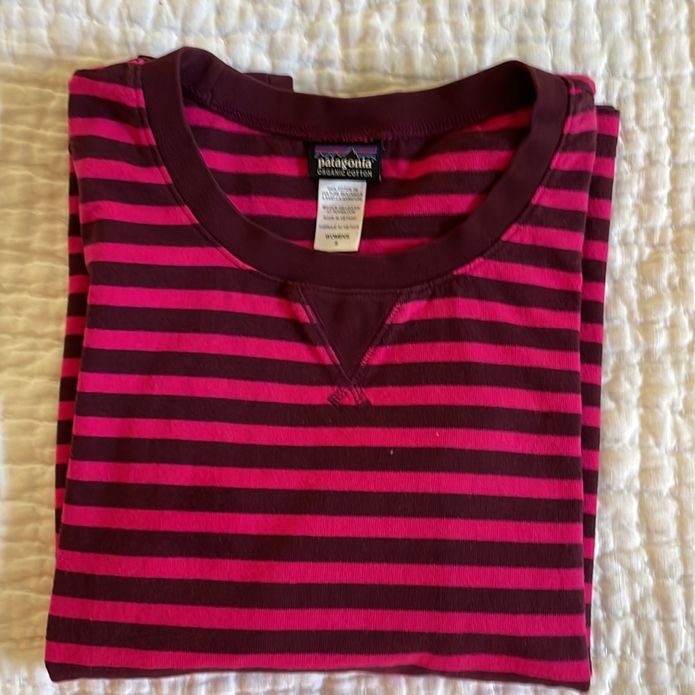 Patagonia Organic Cotton Tee